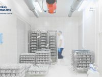 Cold Chain Management