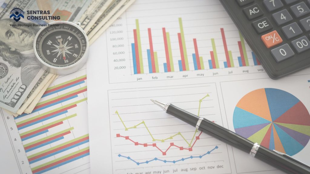 (Pemodelan Keuangan: Keterampilan Praktis untuk Analisis & Proyeksi Finansial)