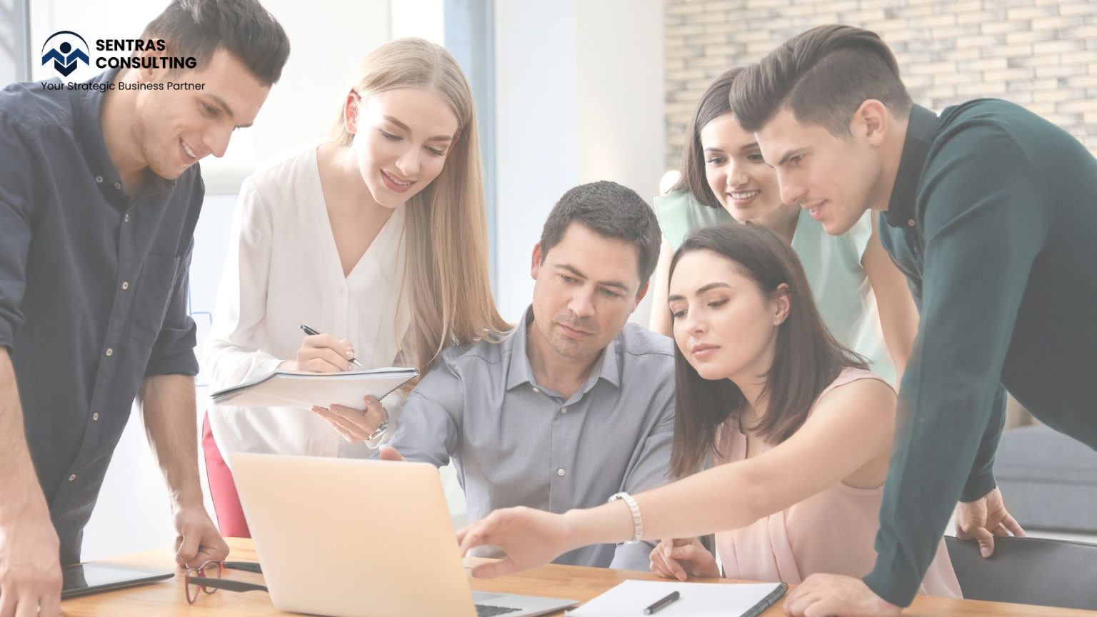 Practical Management Trainee Program - Sentras Consulting